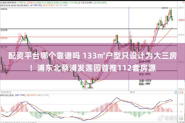 配资平台哪个靠谱吗 133㎡户型只设计为大三房！浦东北蔡浦发莲园首推112套房源